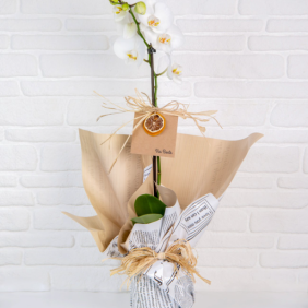  Giresun Çiçekçiler ViaBonte-Fairies and White Orchids